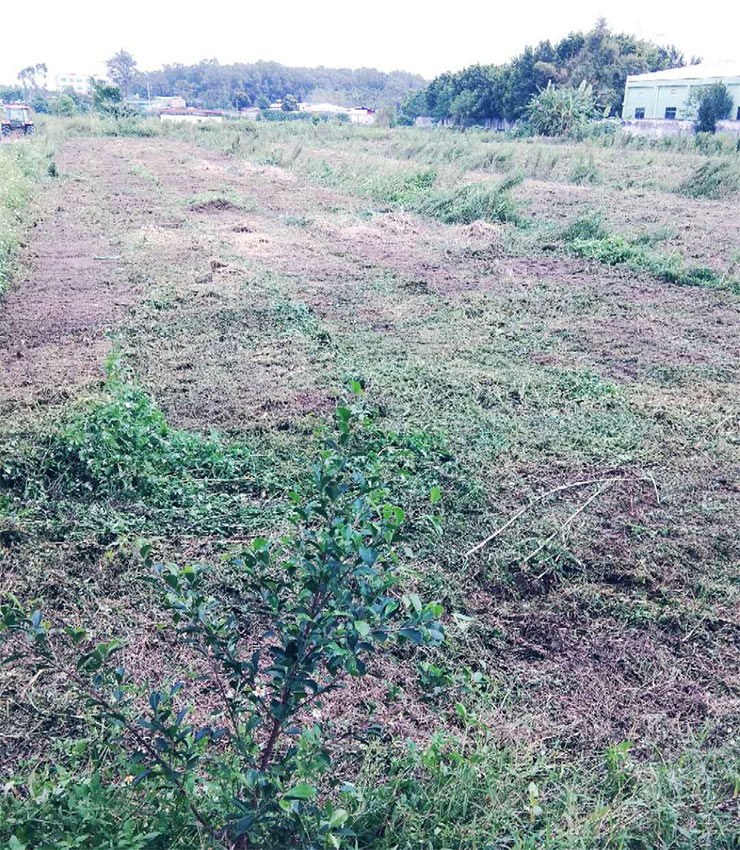 老子有钱lzyq88(中国)有限公司