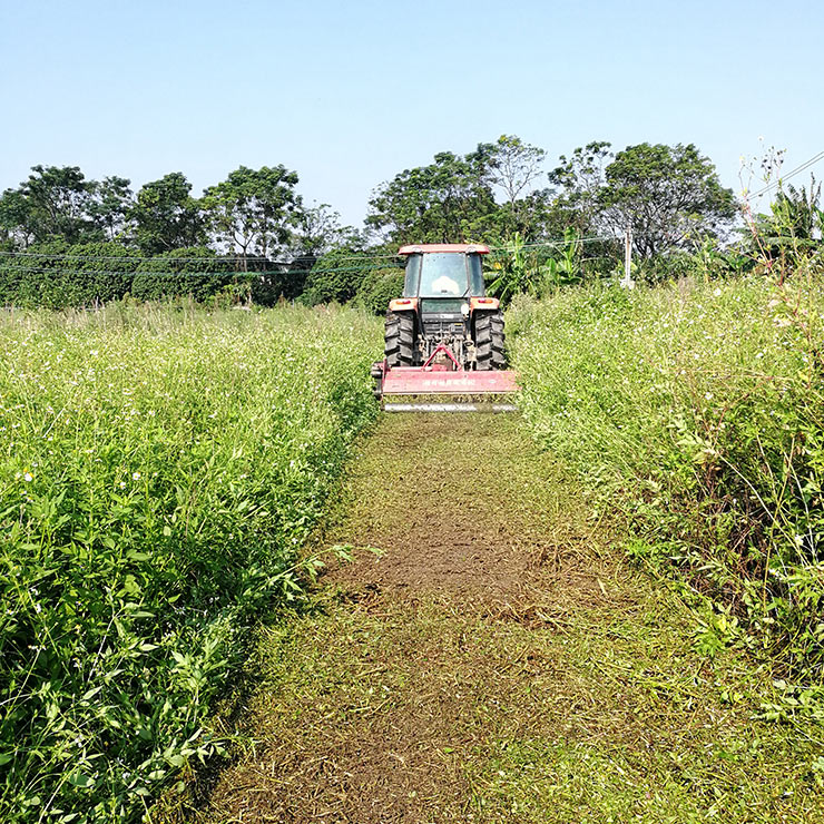 老子有钱lzyq88(中国)有限公司