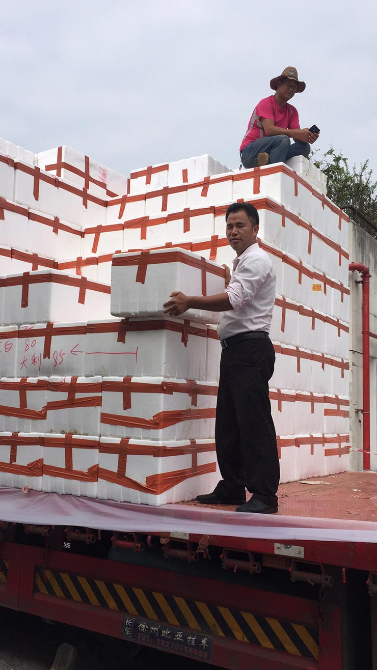 老子有钱lzyq88(中国)有限公司