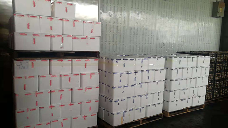 老子有钱lzyq88(中国)有限公司