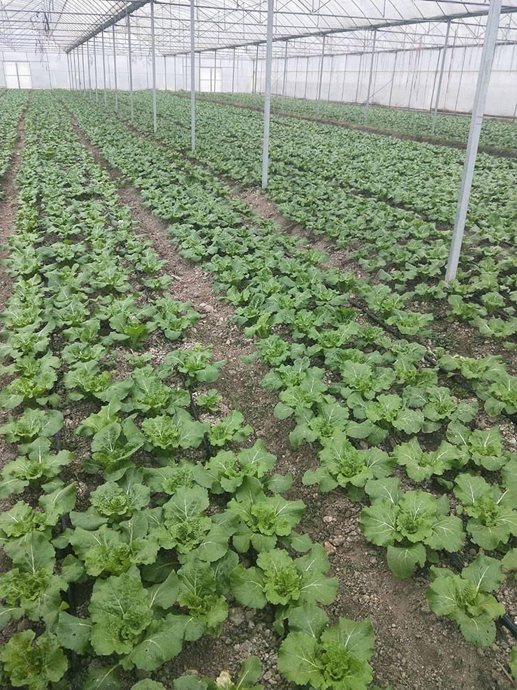 老子有钱lzyq88(中国)有限公司