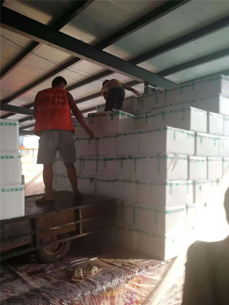 老子有钱lzyq88(中国)有限公司