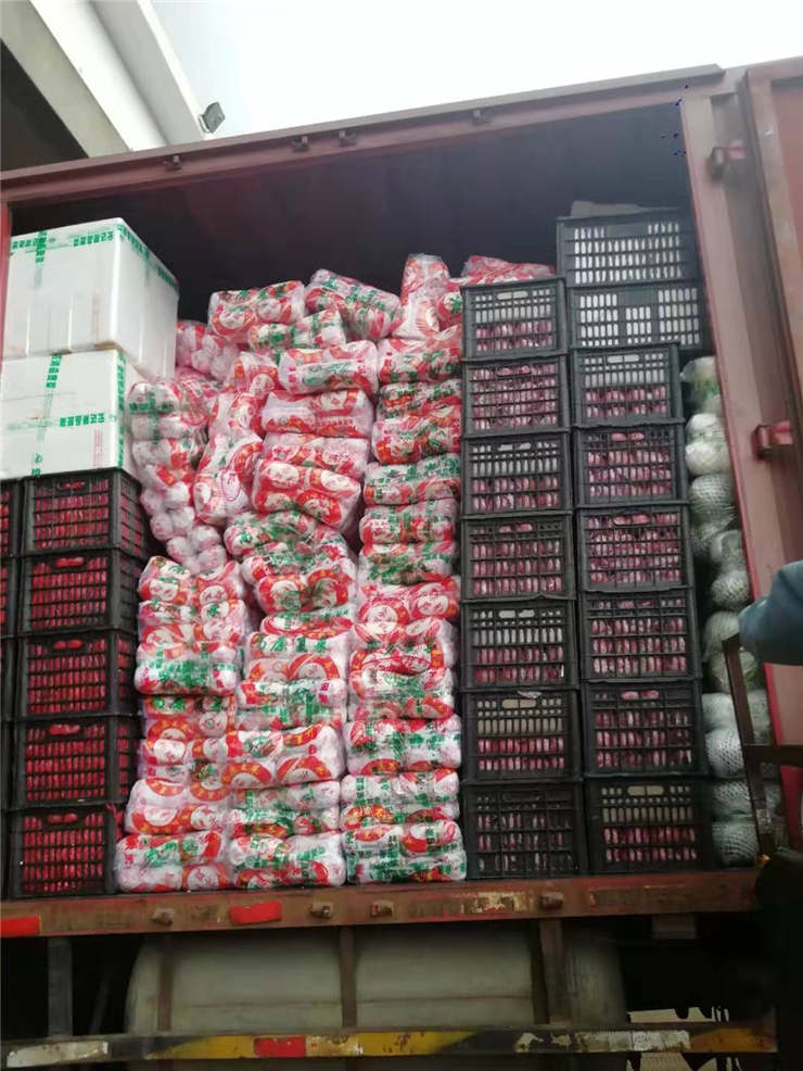 老子有钱lzyq88(中国)有限公司