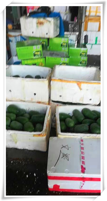 老子有钱lzyq88(中国)有限公司