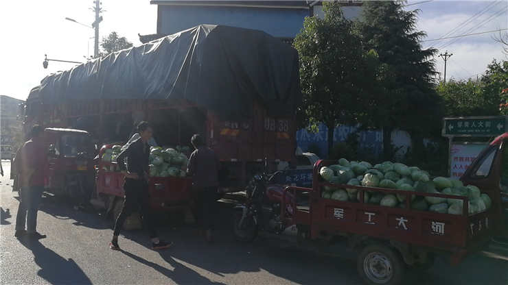 老子有钱lzyq88(中国)有限公司