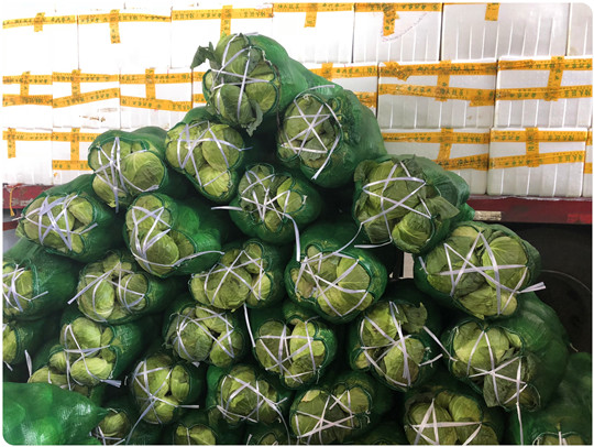 老子有钱lzyq88(中国)有限公司