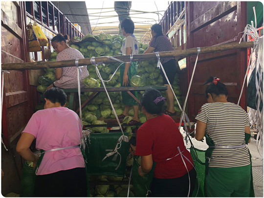 老子有钱lzyq88(中国)有限公司