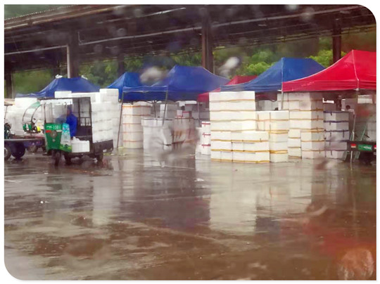 老子有钱lzyq88(中国)有限公司