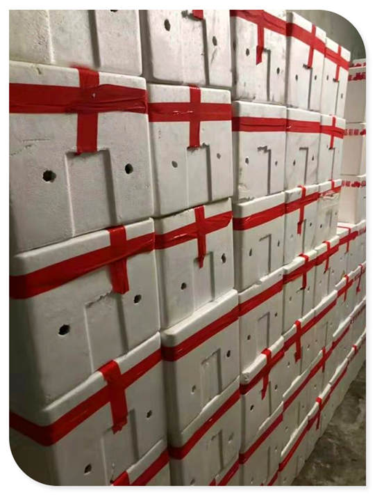 老子有钱lzyq88(中国)有限公司