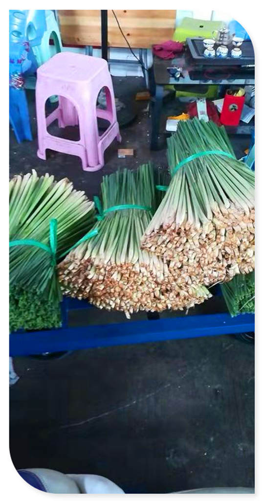 老子有钱lzyq88(中国)有限公司