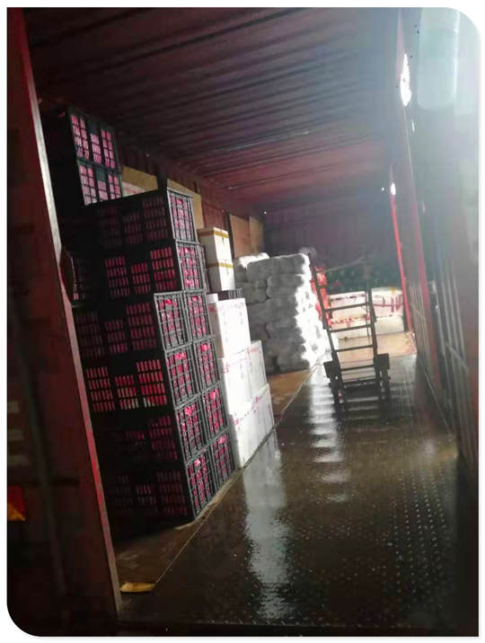 老子有钱lzyq88(中国)有限公司