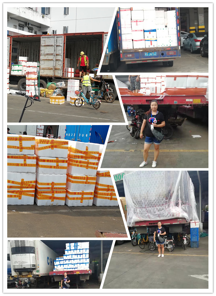 老子有钱lzyq88(中国)有限公司