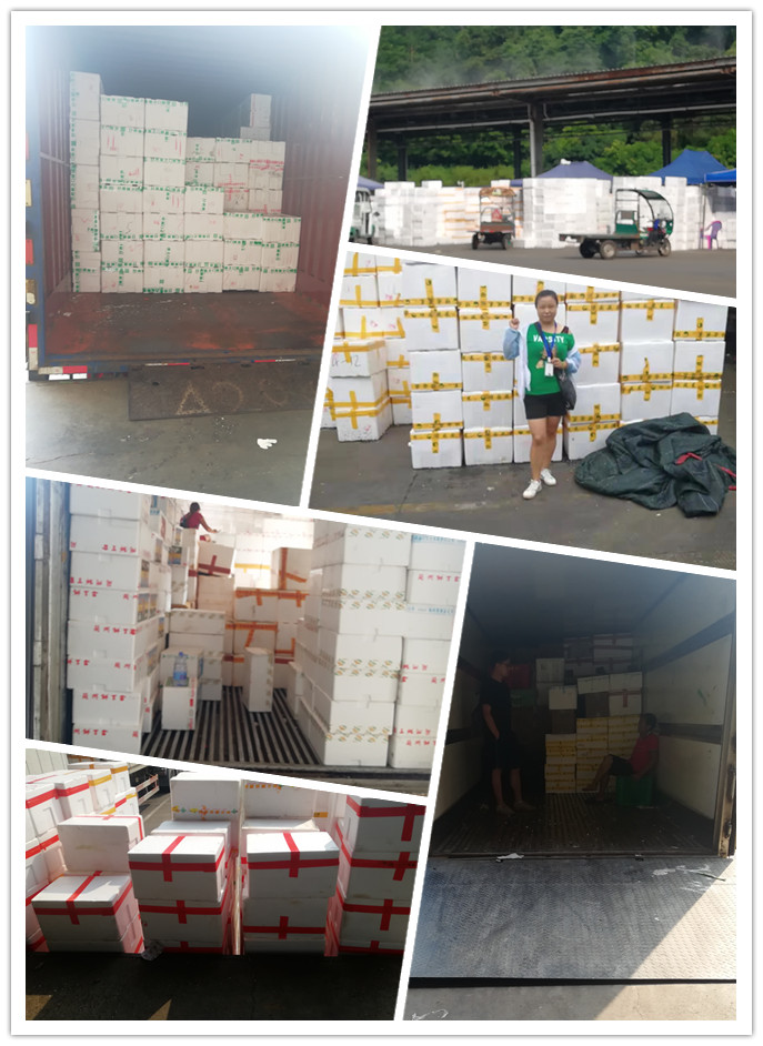 老子有钱lzyq88(中国)有限公司