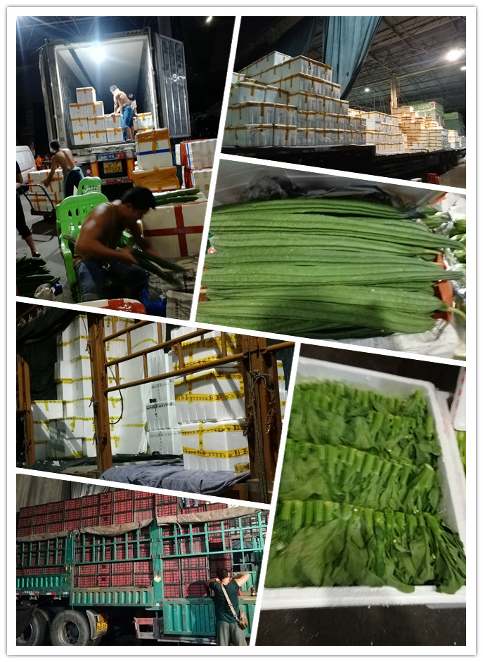 老子有钱lzyq88(中国)有限公司