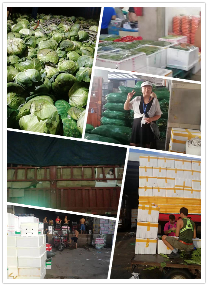 老子有钱lzyq88(中国)有限公司