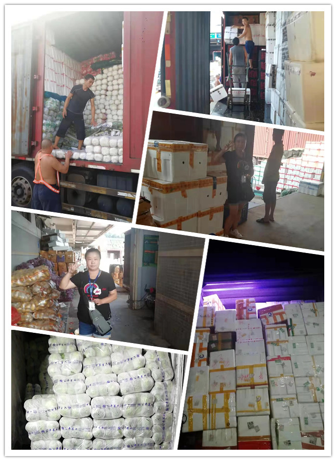 老子有钱lzyq88(中国)有限公司