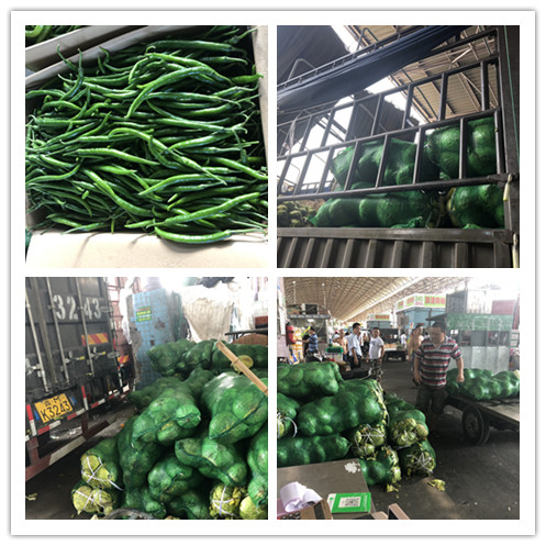 老子有钱lzyq88(中国)有限公司