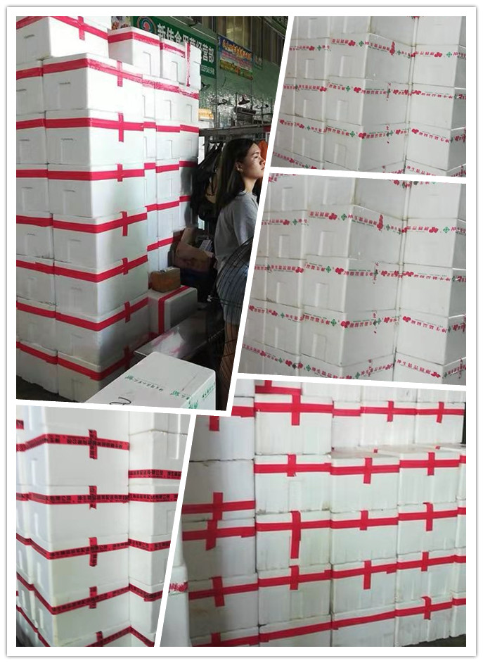 老子有钱lzyq88(中国)有限公司