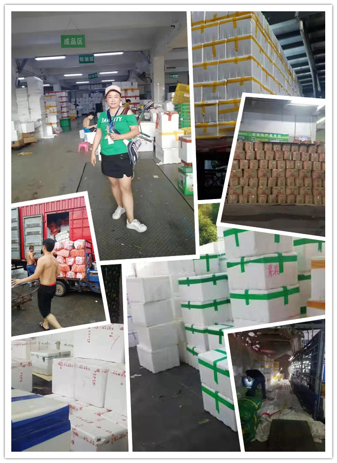 老子有钱lzyq88(中国)有限公司