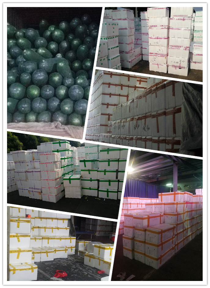 老子有钱lzyq88(中国)有限公司