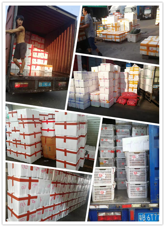 老子有钱lzyq88(中国)有限公司