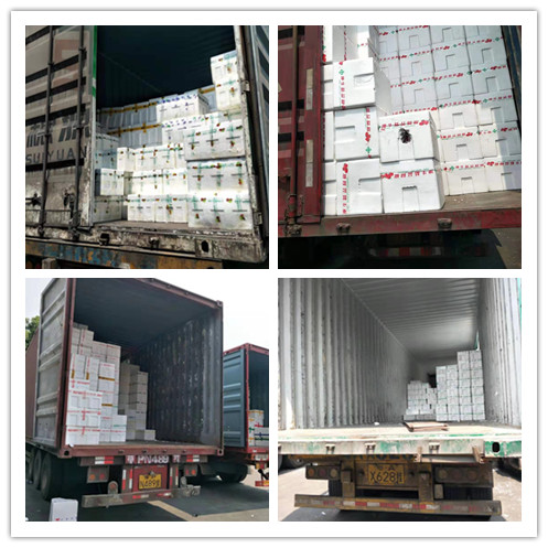 老子有钱lzyq88(中国)有限公司