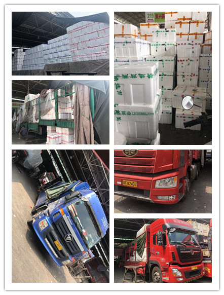 老子有钱lzyq88(中国)有限公司