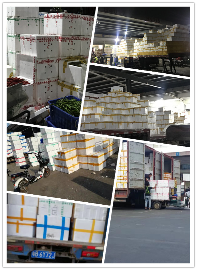 老子有钱lzyq88(中国)有限公司