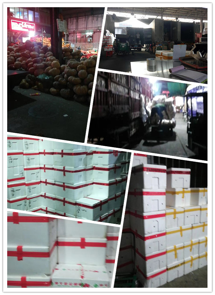 老子有钱lzyq88(中国)有限公司