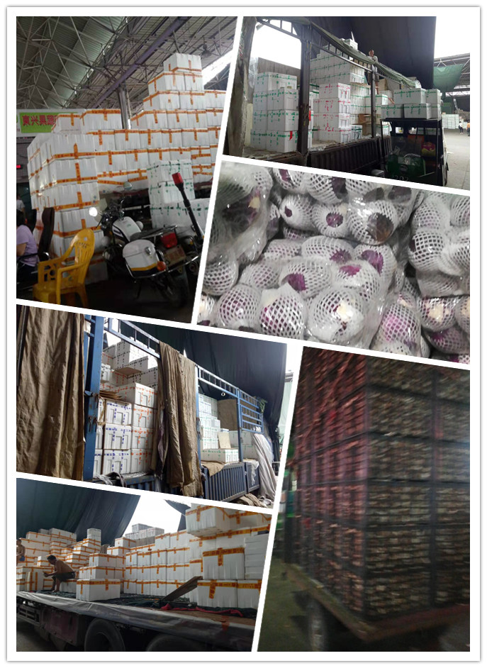 老子有钱lzyq88(中国)有限公司