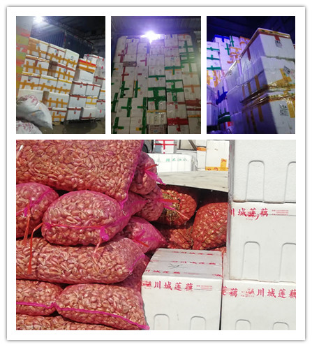 老子有钱lzyq88(中国)有限公司