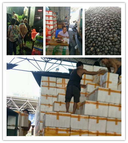 老子有钱lzyq88(中国)有限公司