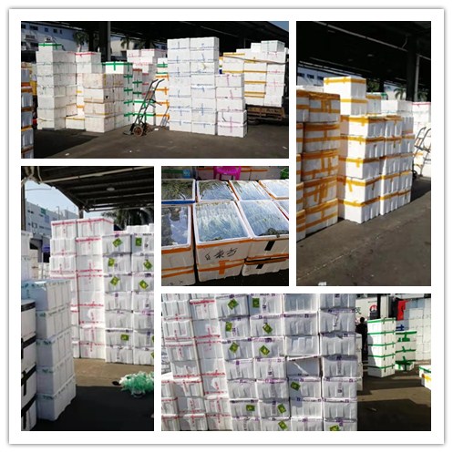 老子有钱lzyq88(中国)有限公司