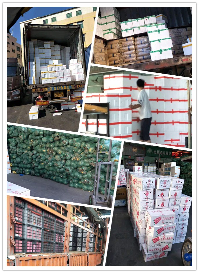 老子有钱lzyq88(中国)有限公司