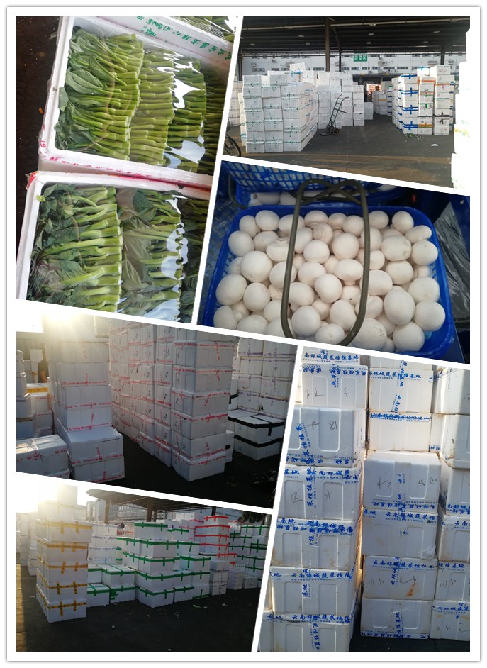 老子有钱lzyq88(中国)有限公司