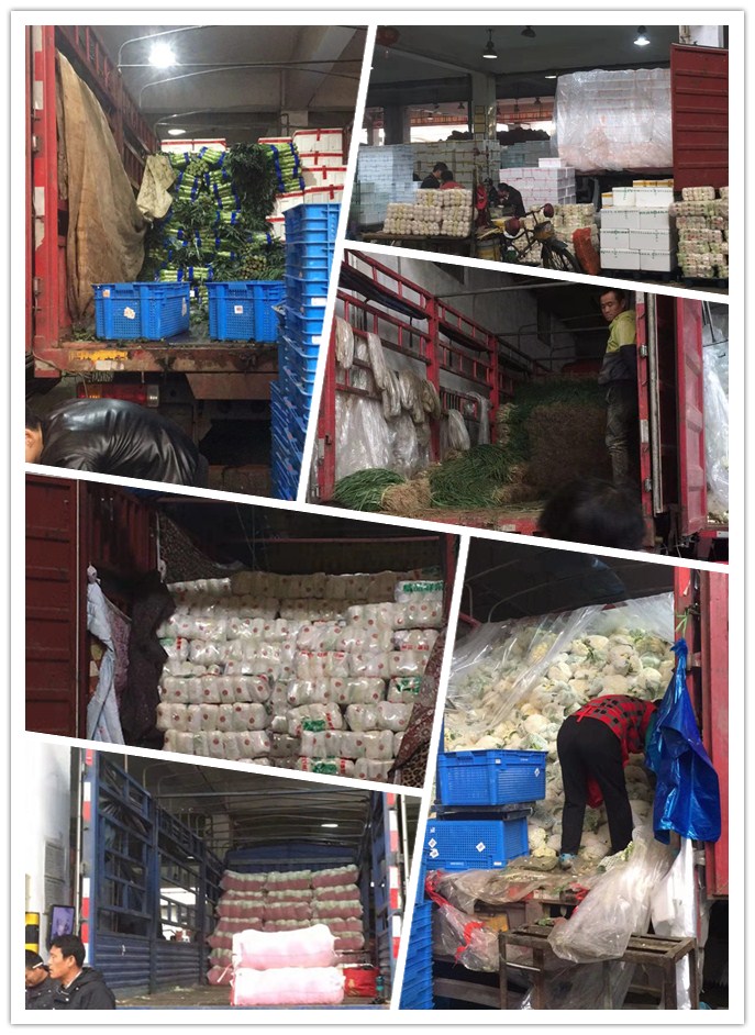 老子有钱lzyq88(中国)有限公司