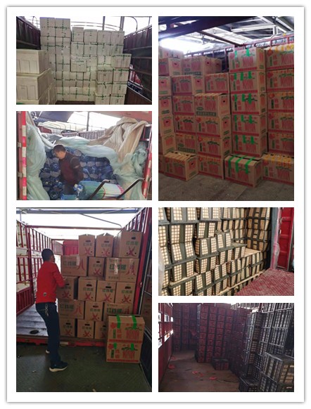 老子有钱lzyq88(中国)有限公司