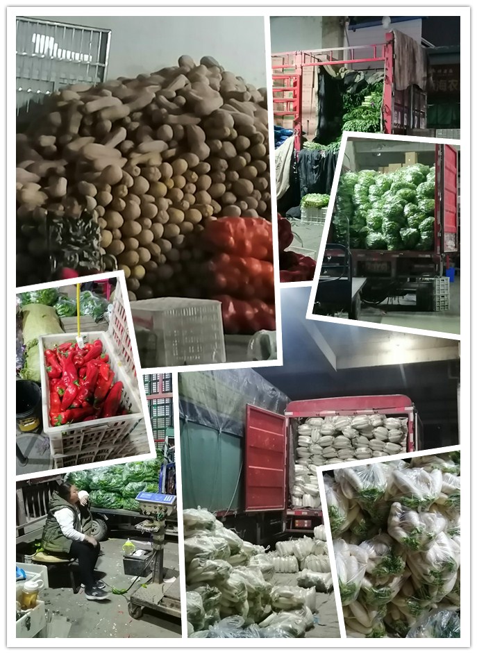 老子有钱lzyq88(中国)有限公司