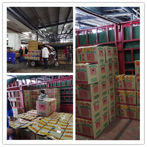 老子有钱lzyq88(中国)有限公司