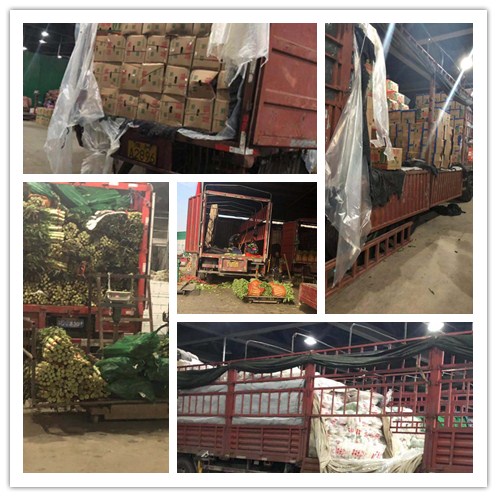 老子有钱lzyq88(中国)有限公司