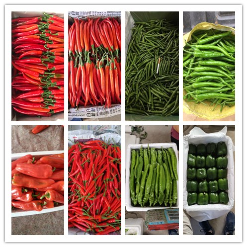 老子有钱lzyq88(中国)有限公司