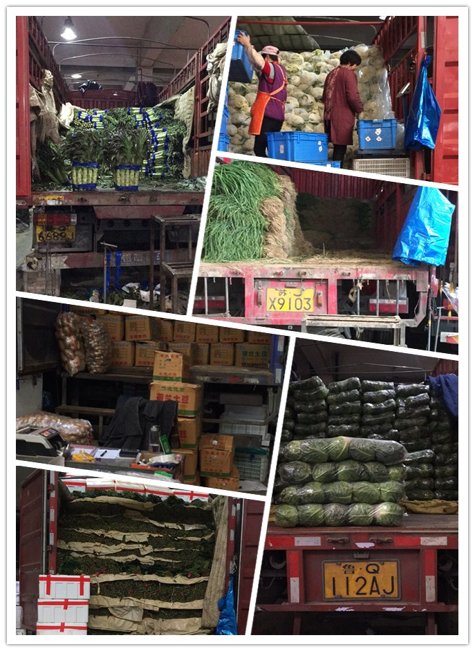 老子有钱lzyq88(中国)有限公司