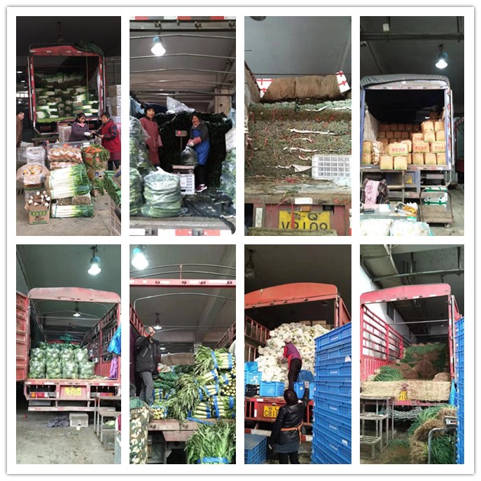 老子有钱lzyq88(中国)有限公司