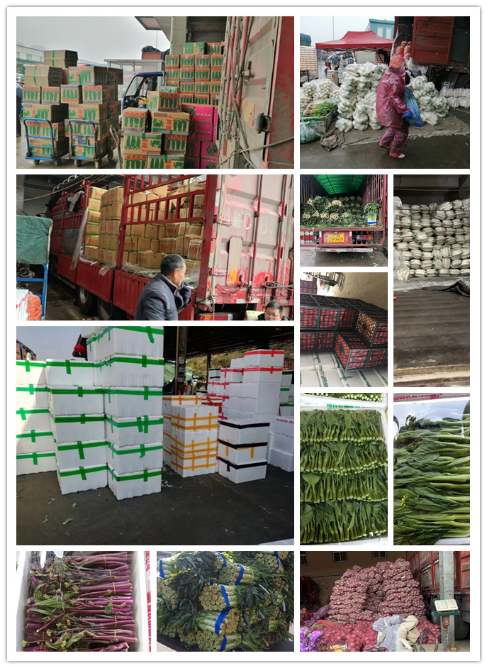 老子有钱lzyq88(中国)有限公司