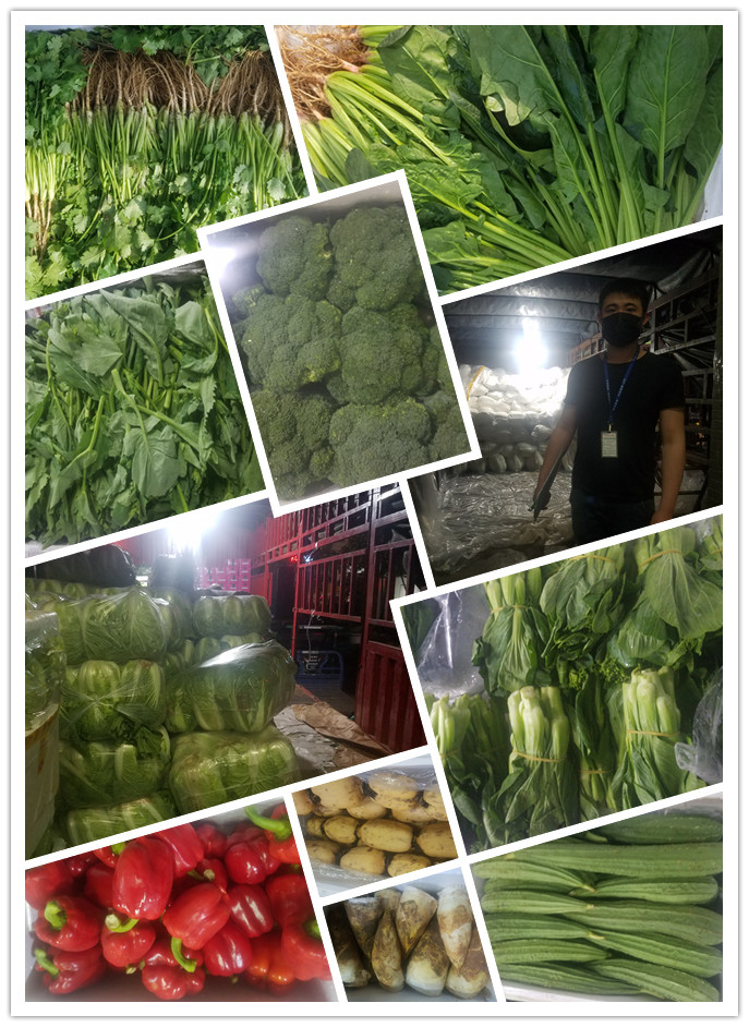 老子有钱lzyq88(中国)有限公司