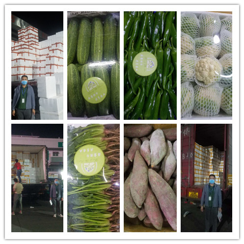 老子有钱lzyq88(中国)有限公司