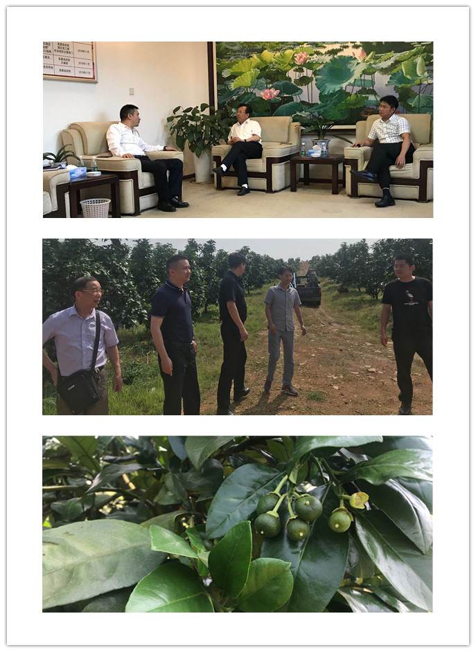 老子有钱lzyq88(中国)有限公司