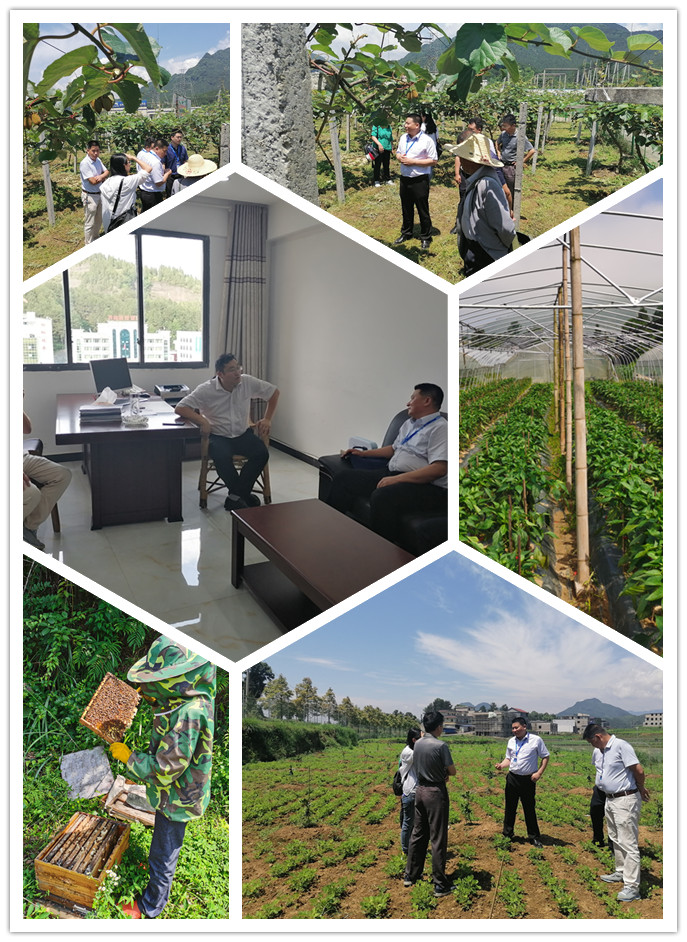 老子有钱lzyq88(中国)有限公司