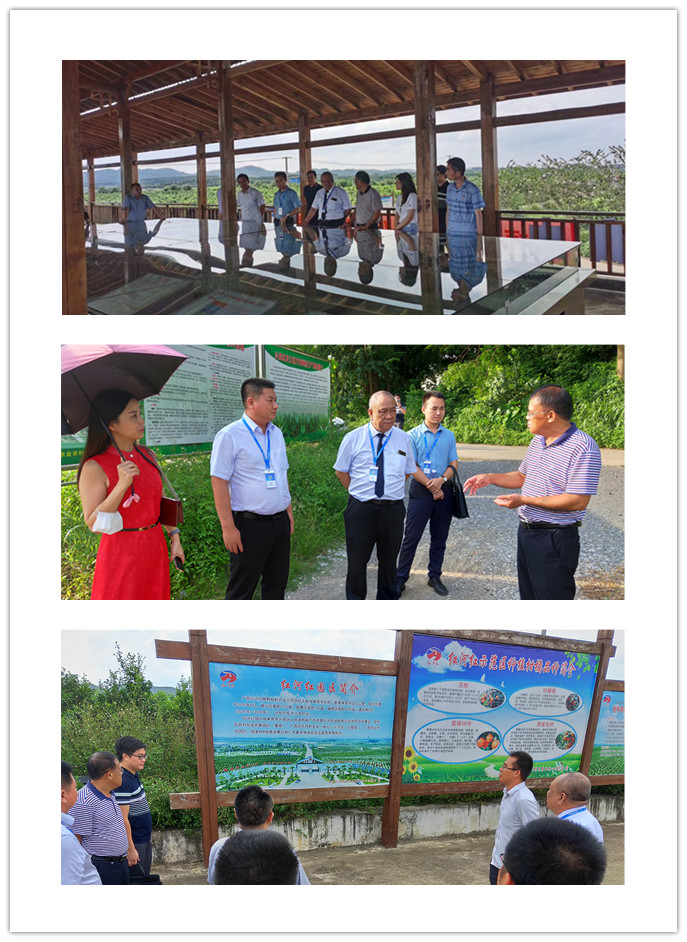 老子有钱lzyq88(中国)有限公司