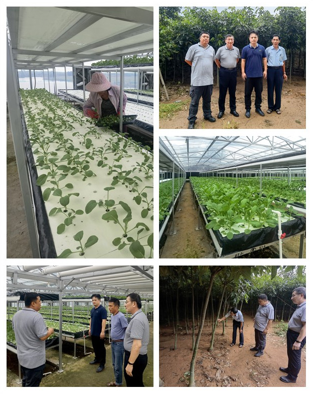 老子有钱lzyq88(中国)有限公司